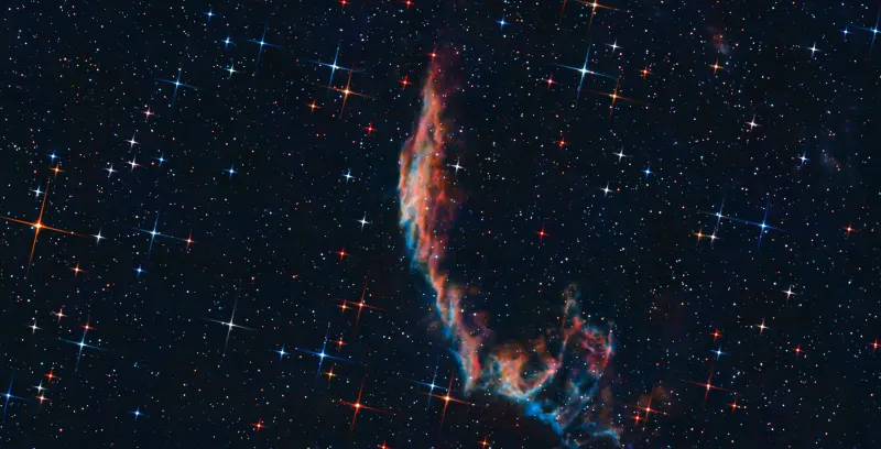 The Unseen Made Visible: How Scientific Imaging Rewired the Modern Artistic Eye